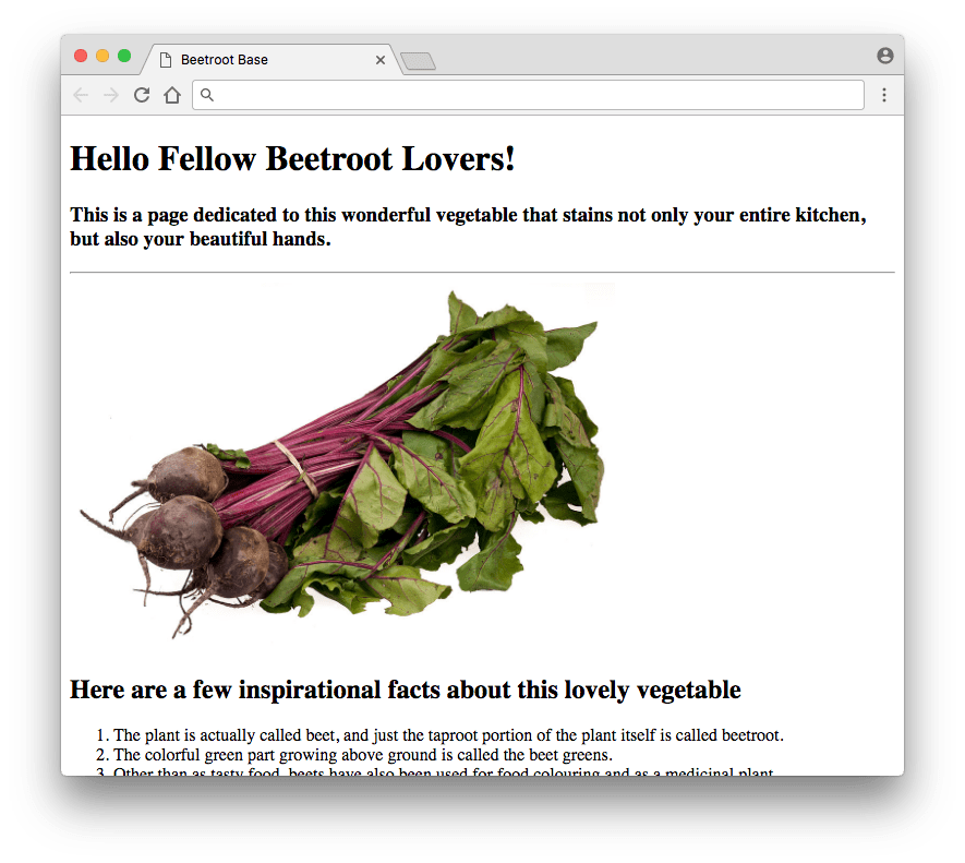 Beetroot Base HTML Page