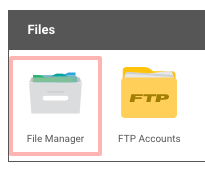 File Manager in Control Panel