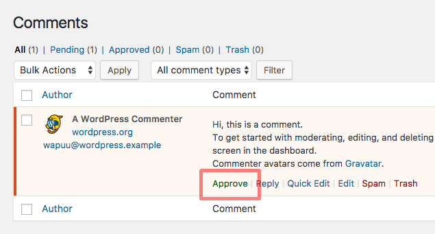 How to approve a comment manually in WordPress