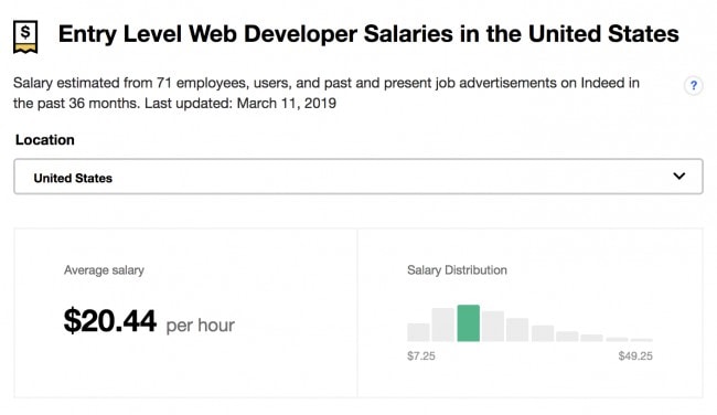 Entry Level Web Developer Pay