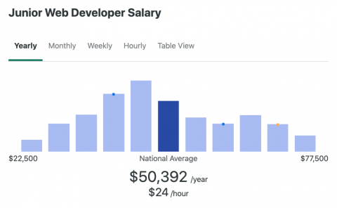 Junior Web Developer Salary In 2022: How Much Can You Make?